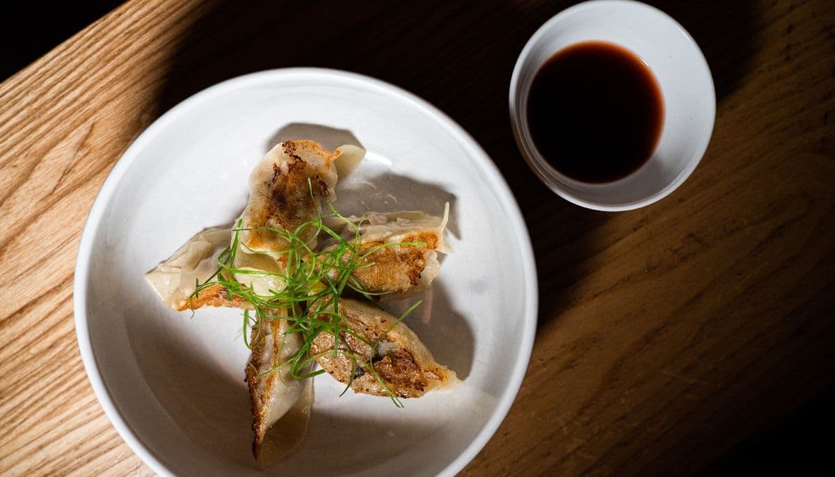 Pork Belly Gyoza