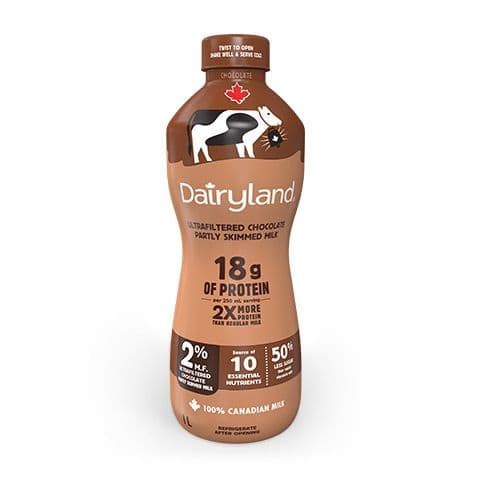 Dairyland JOYYA Choco UF 1L