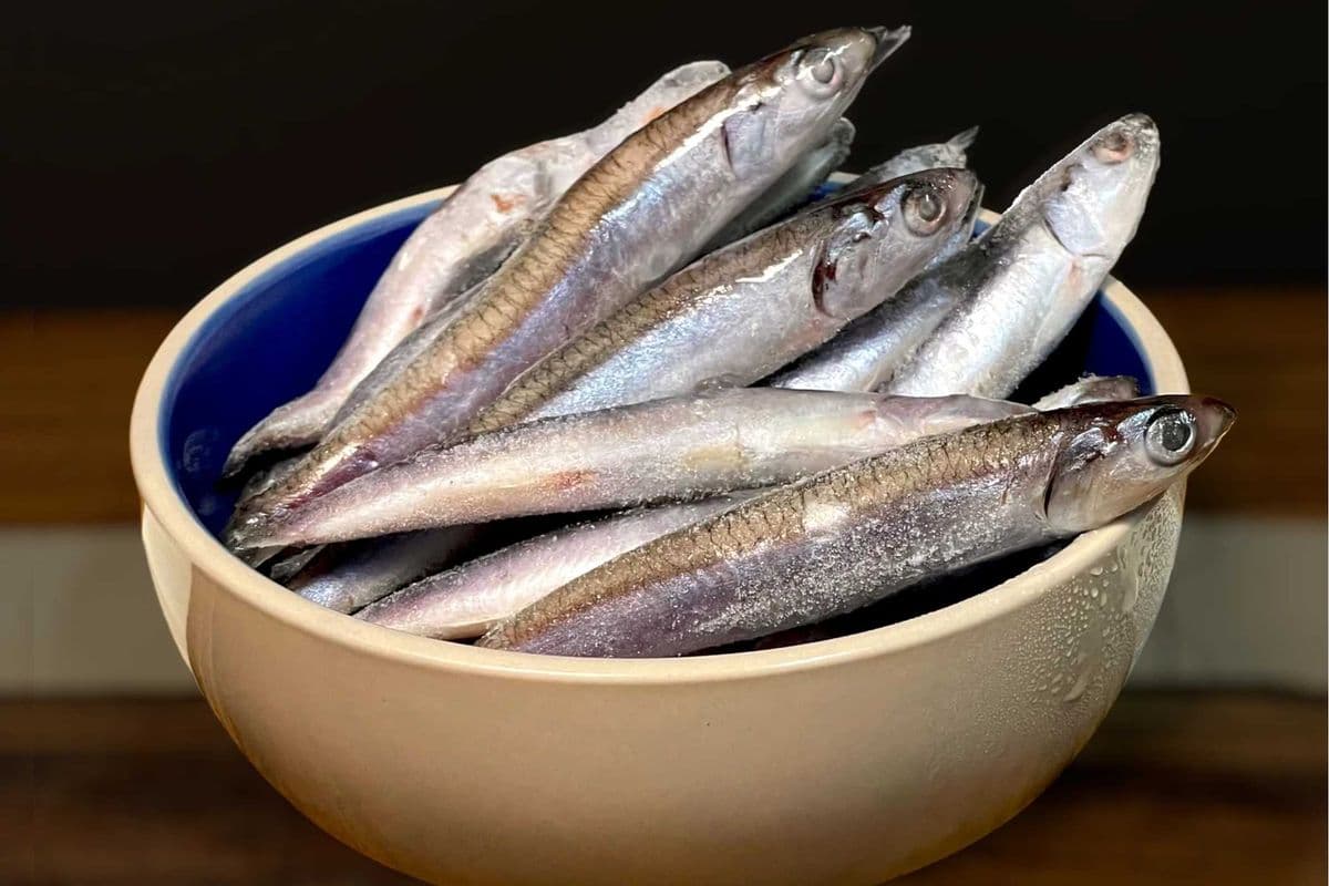 Anchovies (1 lb)