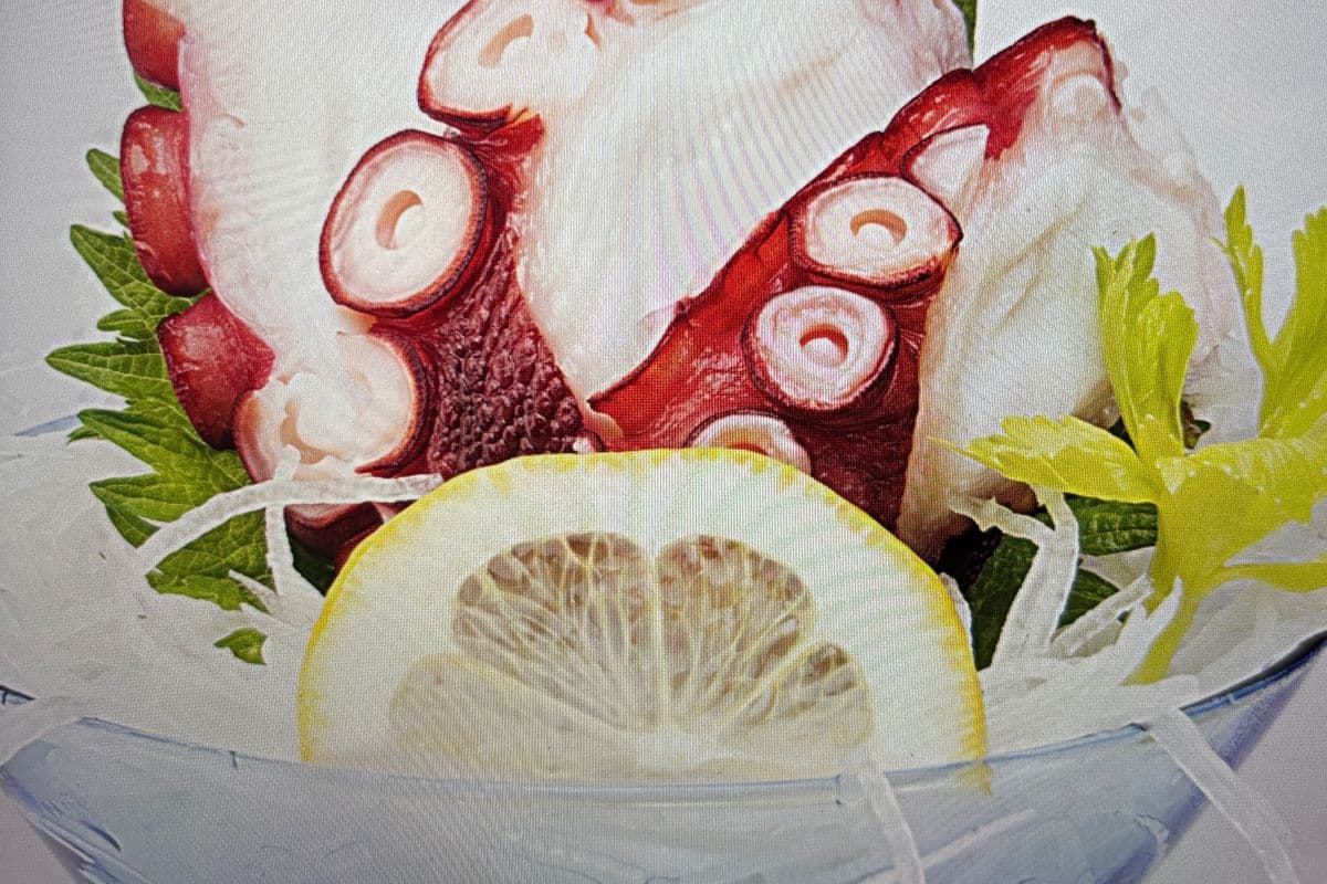 Octopus Sashimi