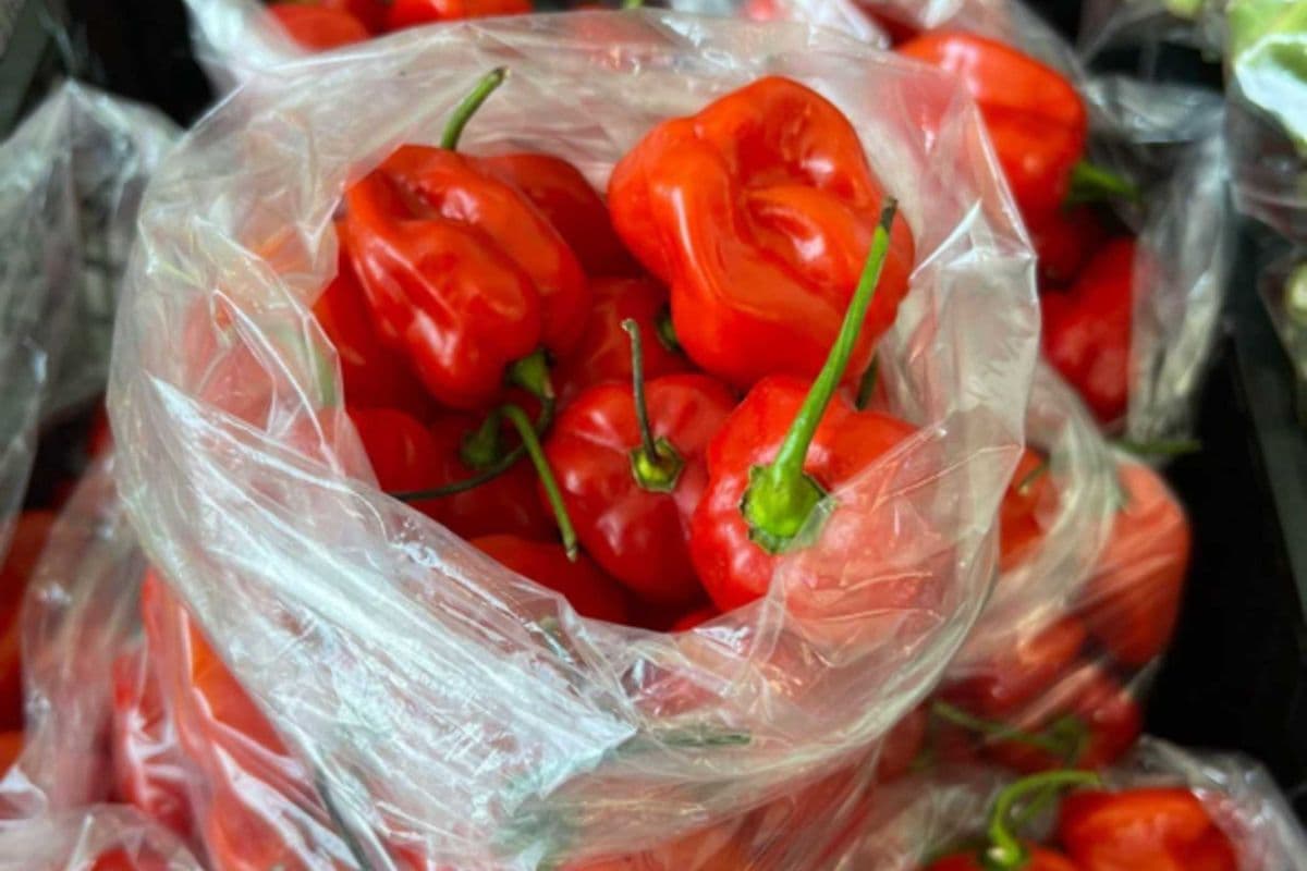 Frozen Red Habanero Peppers – Half Box (2.5 lb)