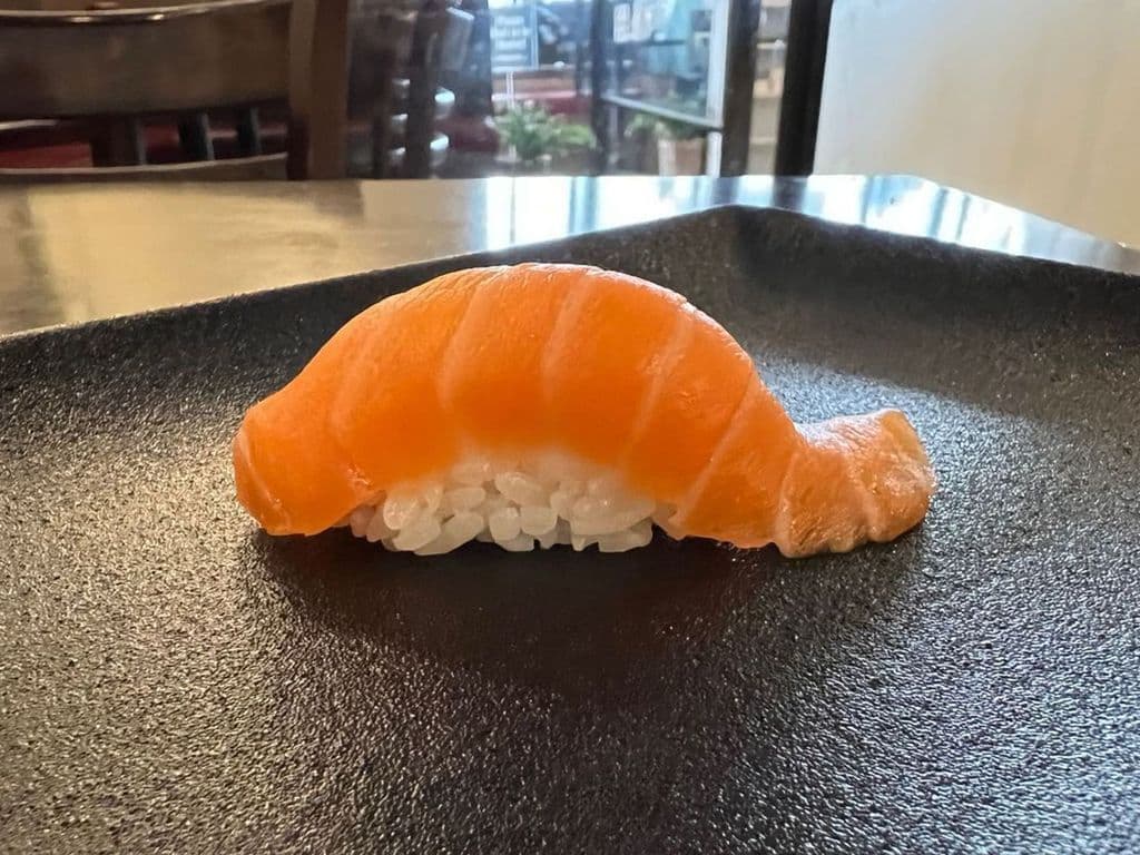 Salmon