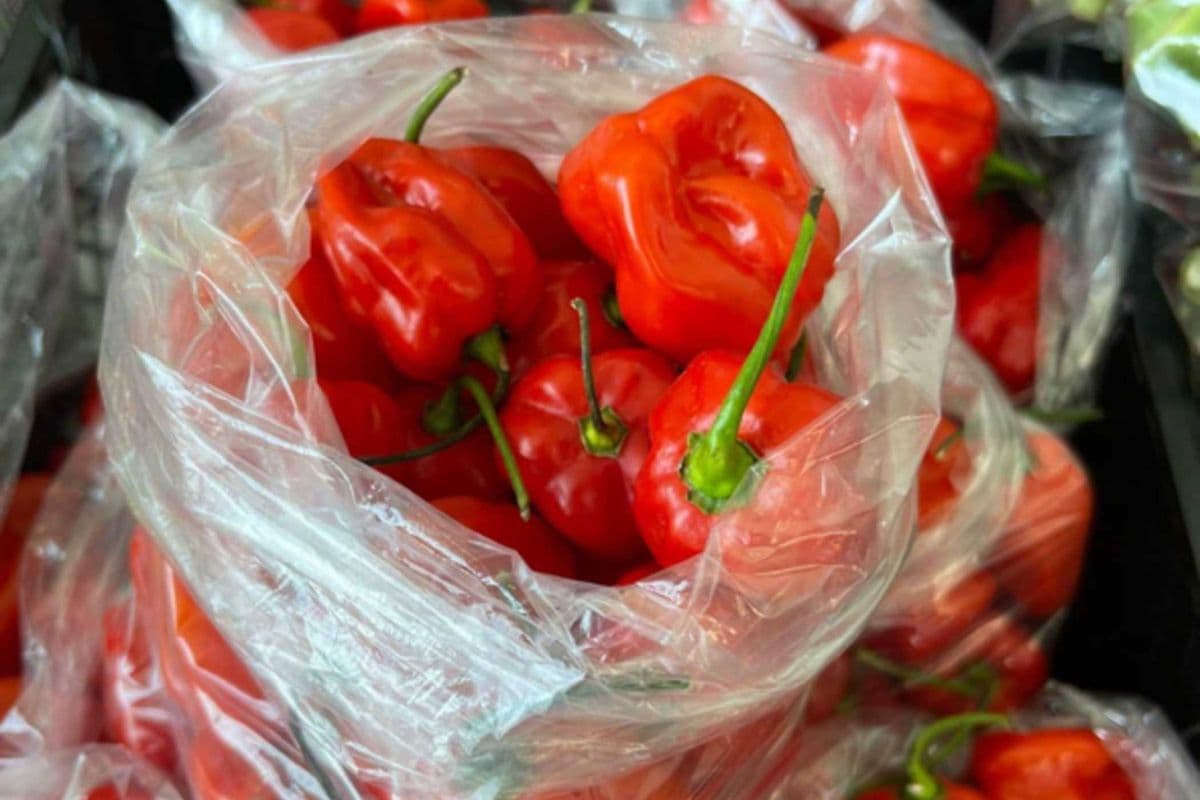 Frozen Red Habanero Peppers – Individual