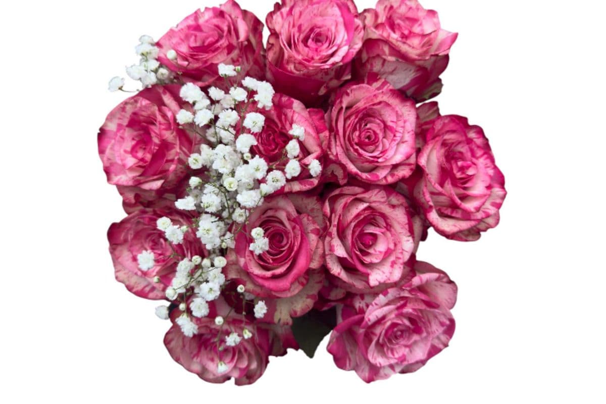 'Magic Times' Pink Roses - 1 Dozen (12 Stems)