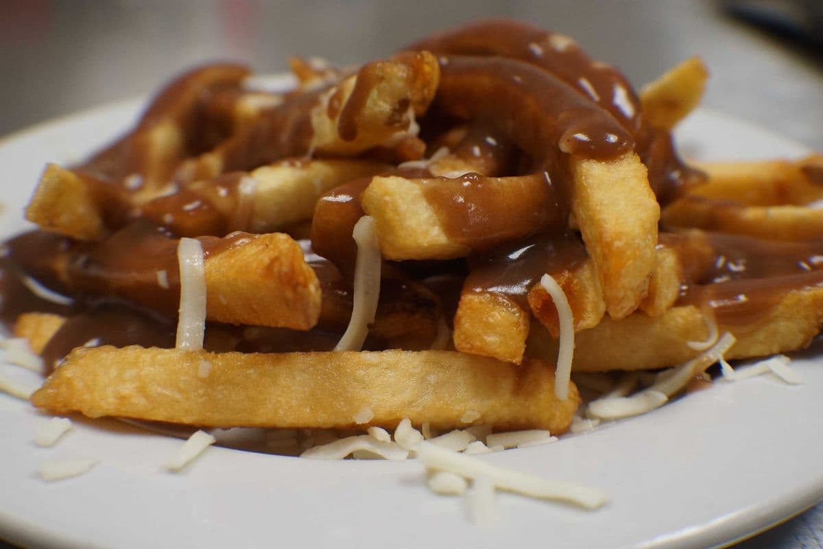 Regular size Poutine.