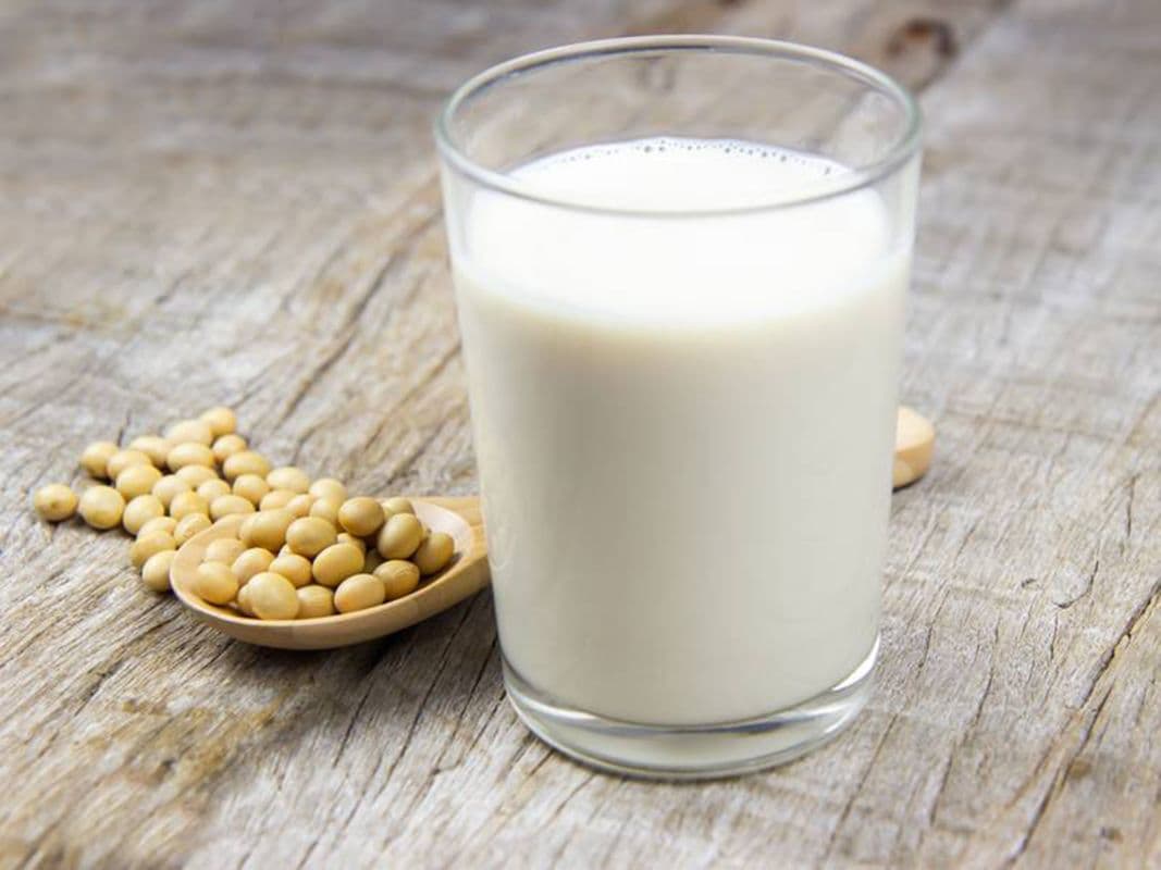 Hot Soy Milk  熱豆漿