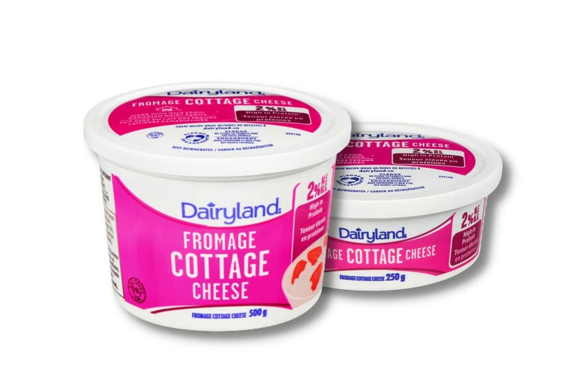 Dairyland Cottage Cheese