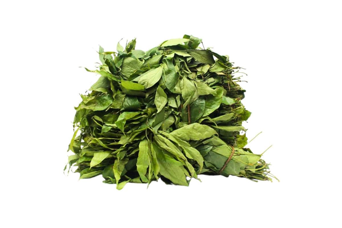 Afang Leaf