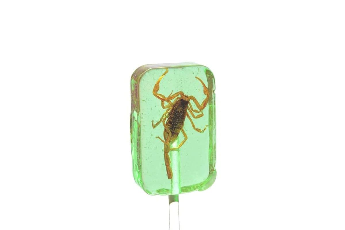 Scorpion Sucker Apple (31 g)