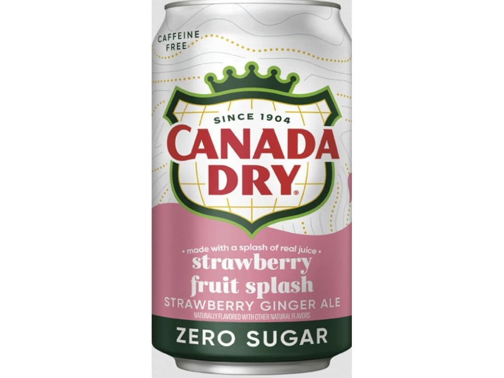 Canada Dry Strawberry Fruit Splash Zero Sugar Gingerale Soda 355ml Pop Can
