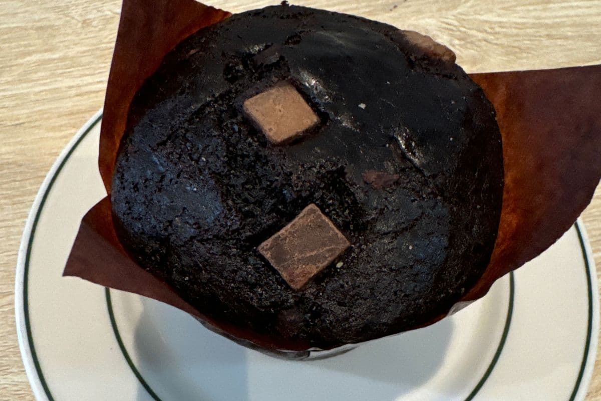 Double Chocolate Muffin