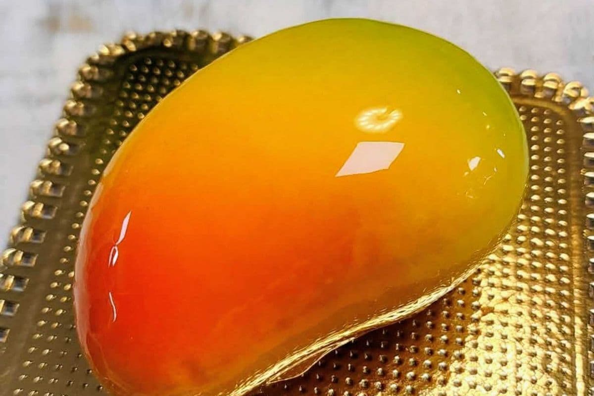 Mango Mousse Truffle Mini Cake