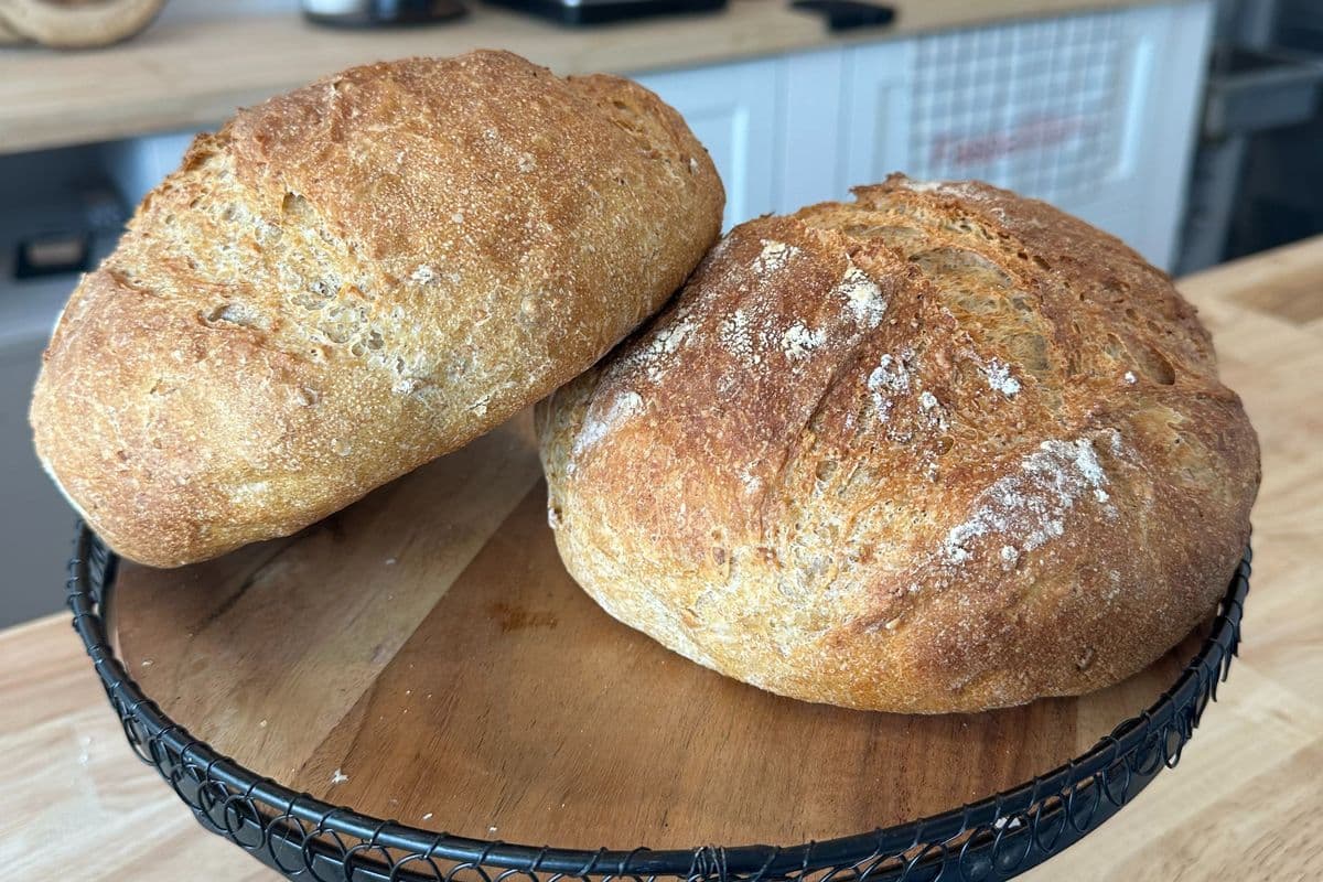Harvest Grain Bread