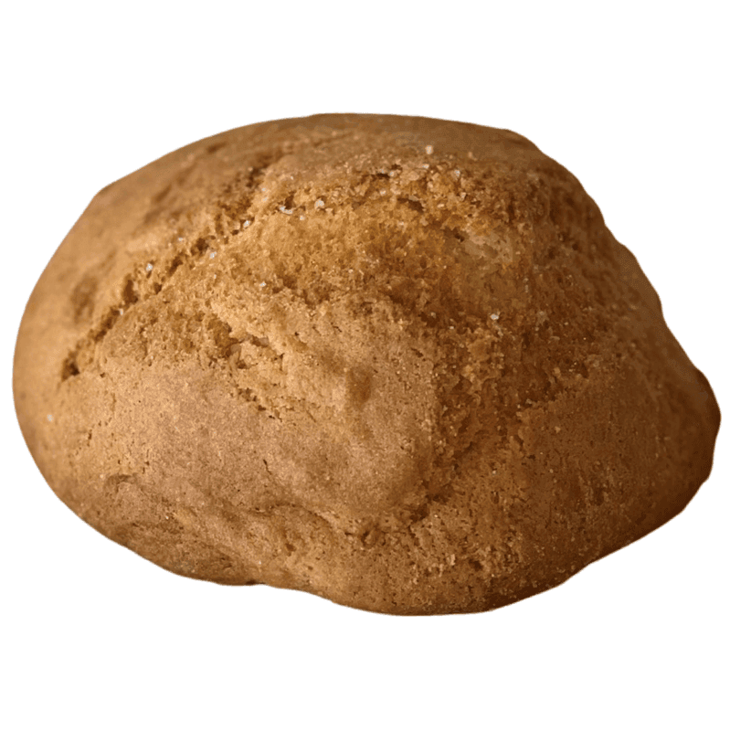 Biscuit