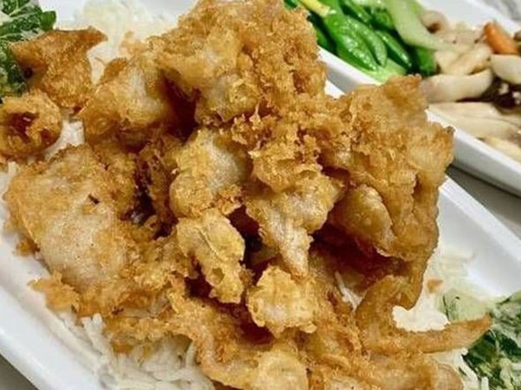 Deep Fried Crispy Pork J4