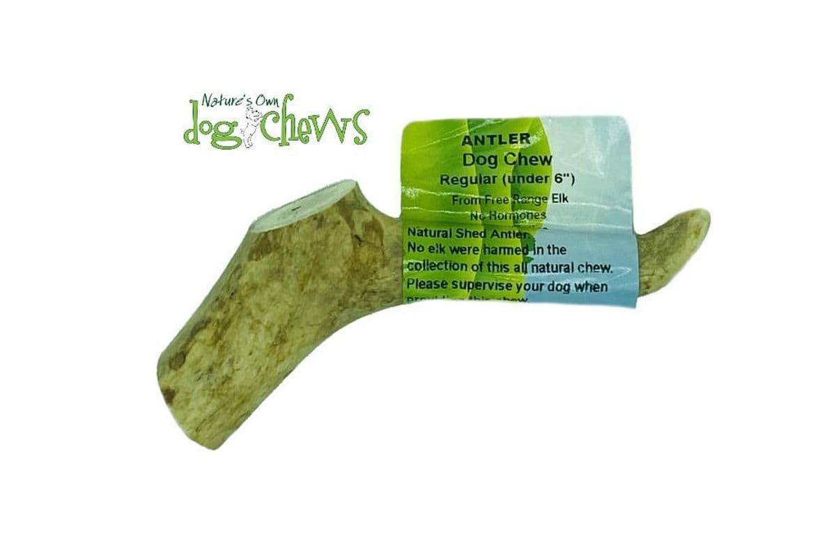 Nature's Own Dog Chews Regular Antler Dog Treats (5-6 inch)