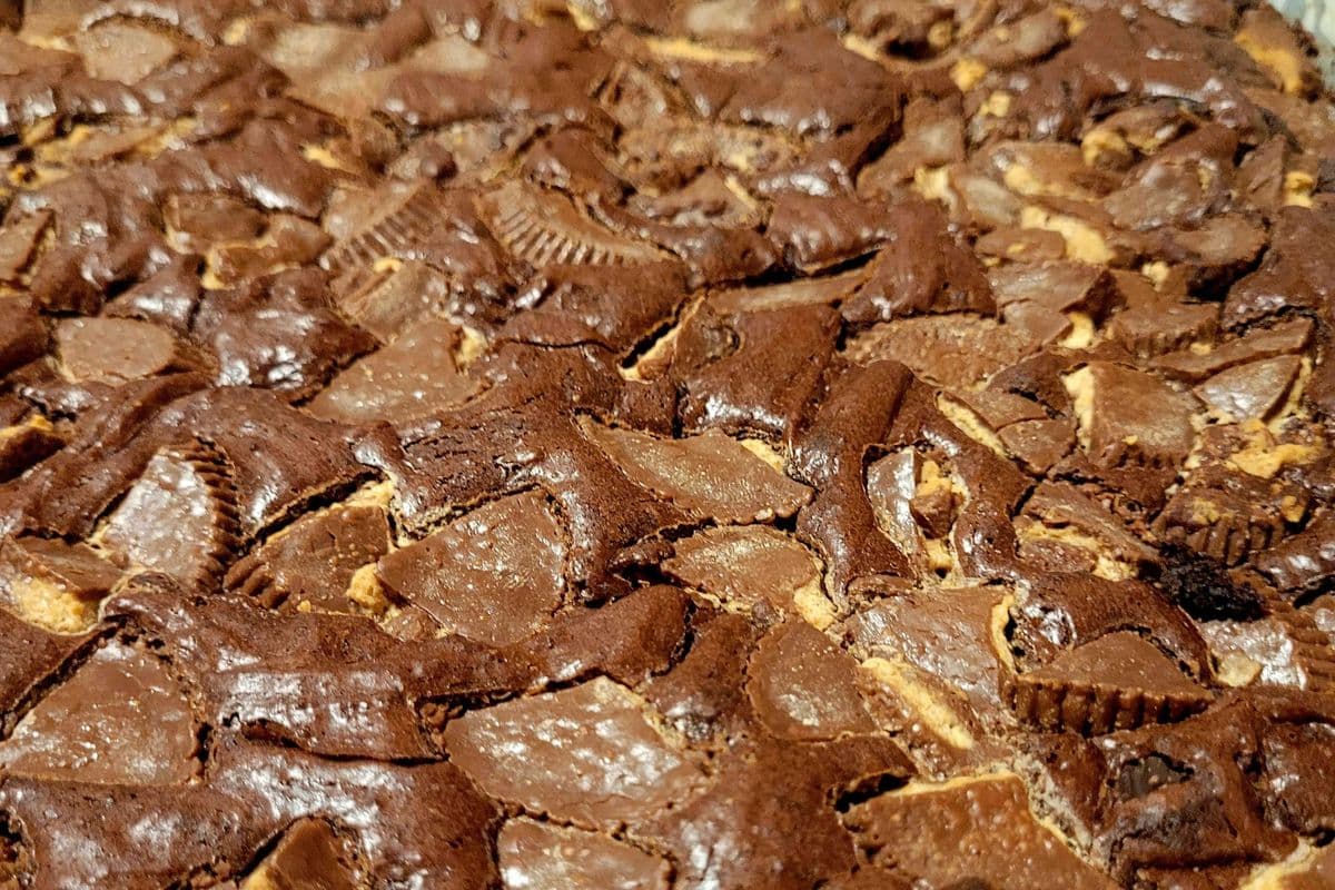 Reese's Fudgy Boy Brownies
