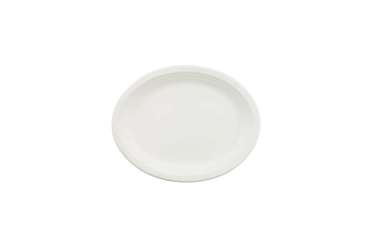 NO NAME LUNCH PLATES (40 PLATES)