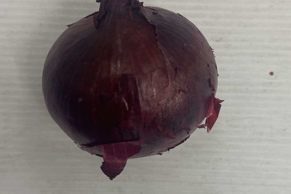 Red Onions@$1.99/lb (1lb)