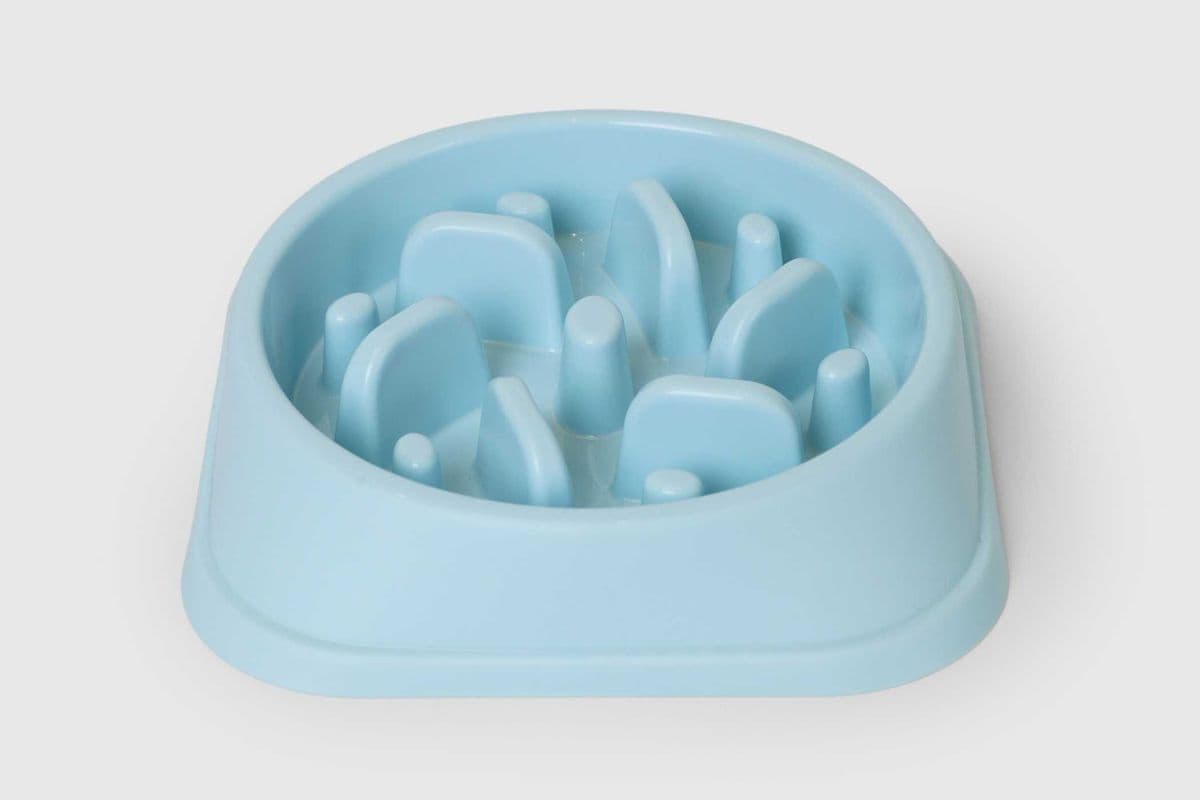 Slow Feeder Bowl Assorted Color