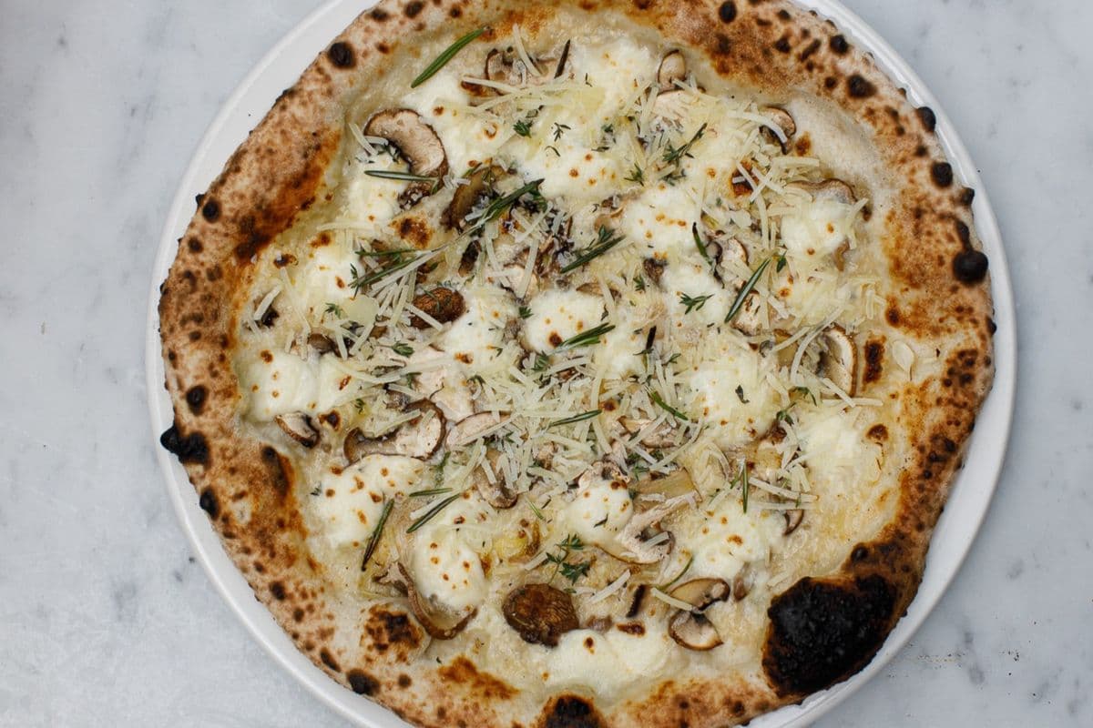 12" Funghi