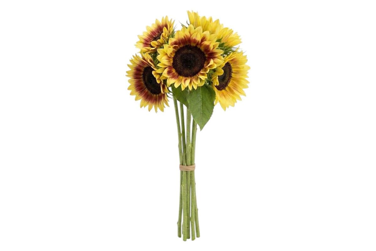 Bicolour Sunflower - 5 Stems