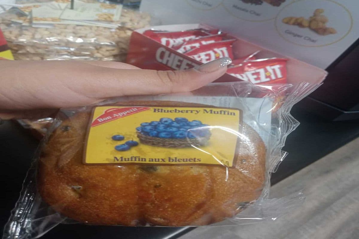 Blueberry Muffin