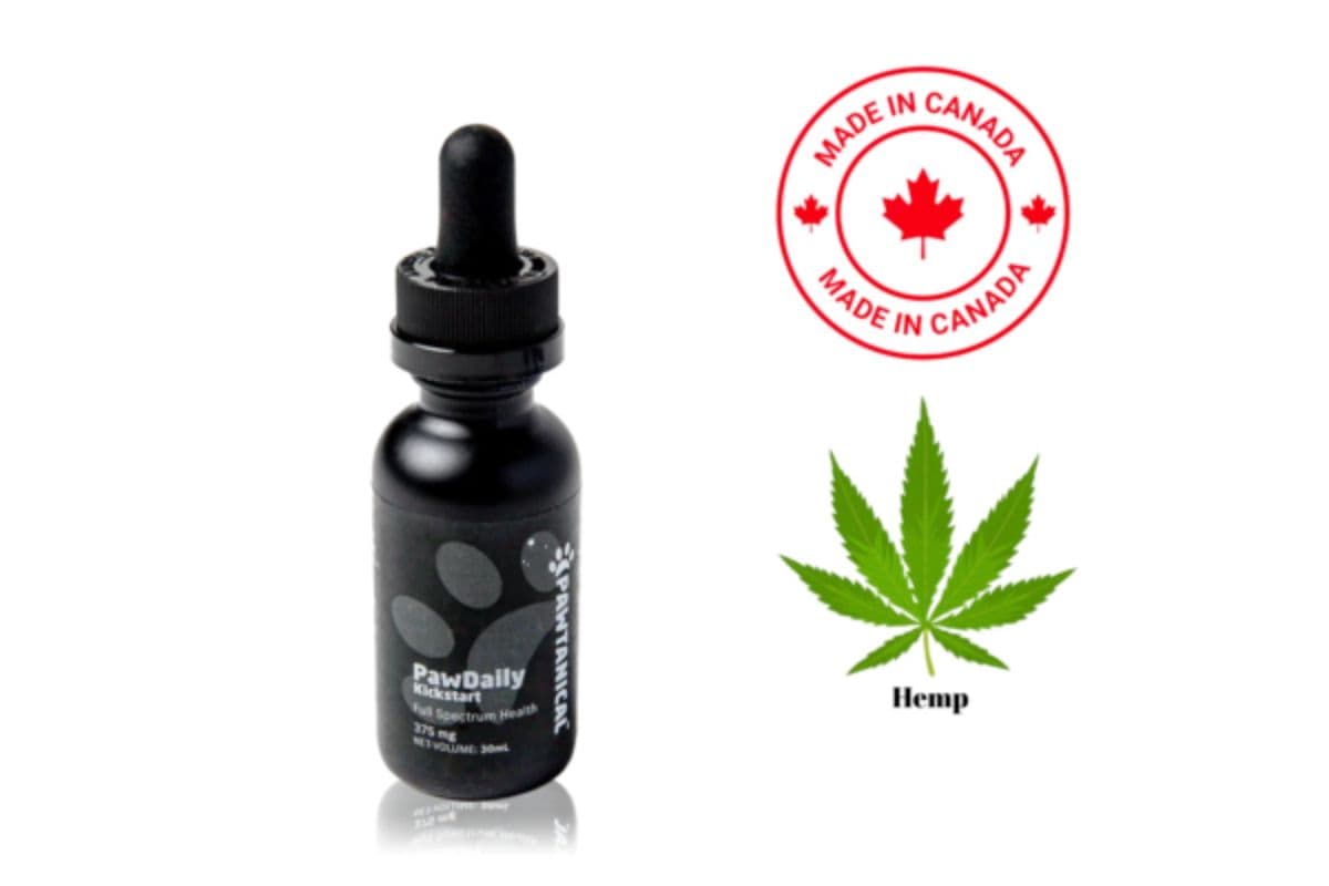 Pawtanical PawDaily Kickstart Hemp Oil Dog