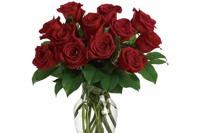 Enduring Passion - Dozen Red Roses