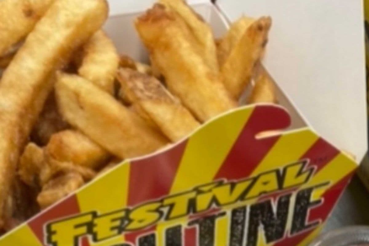 Medium Festival Fries™