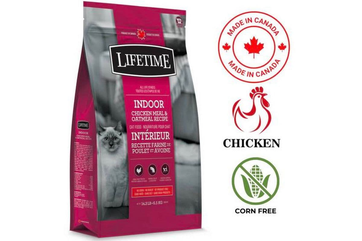 Lifetime - Indoor Chicken & Oatmeal Cat Food (2.27 Kg)