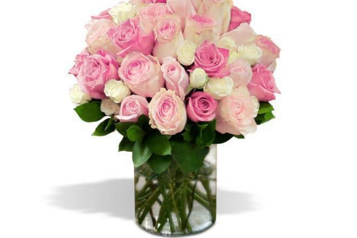 Pastel Roses