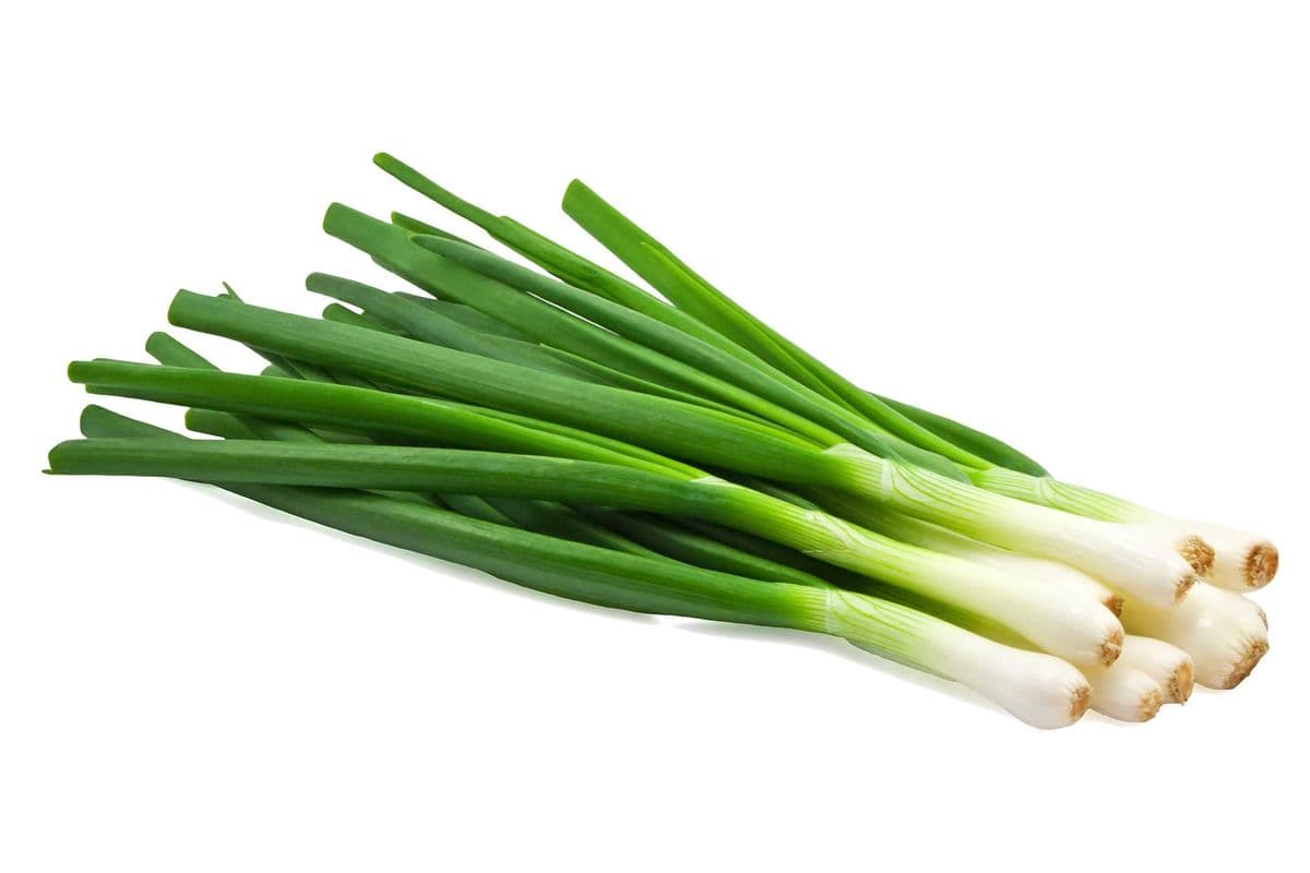Green Onions (ea)