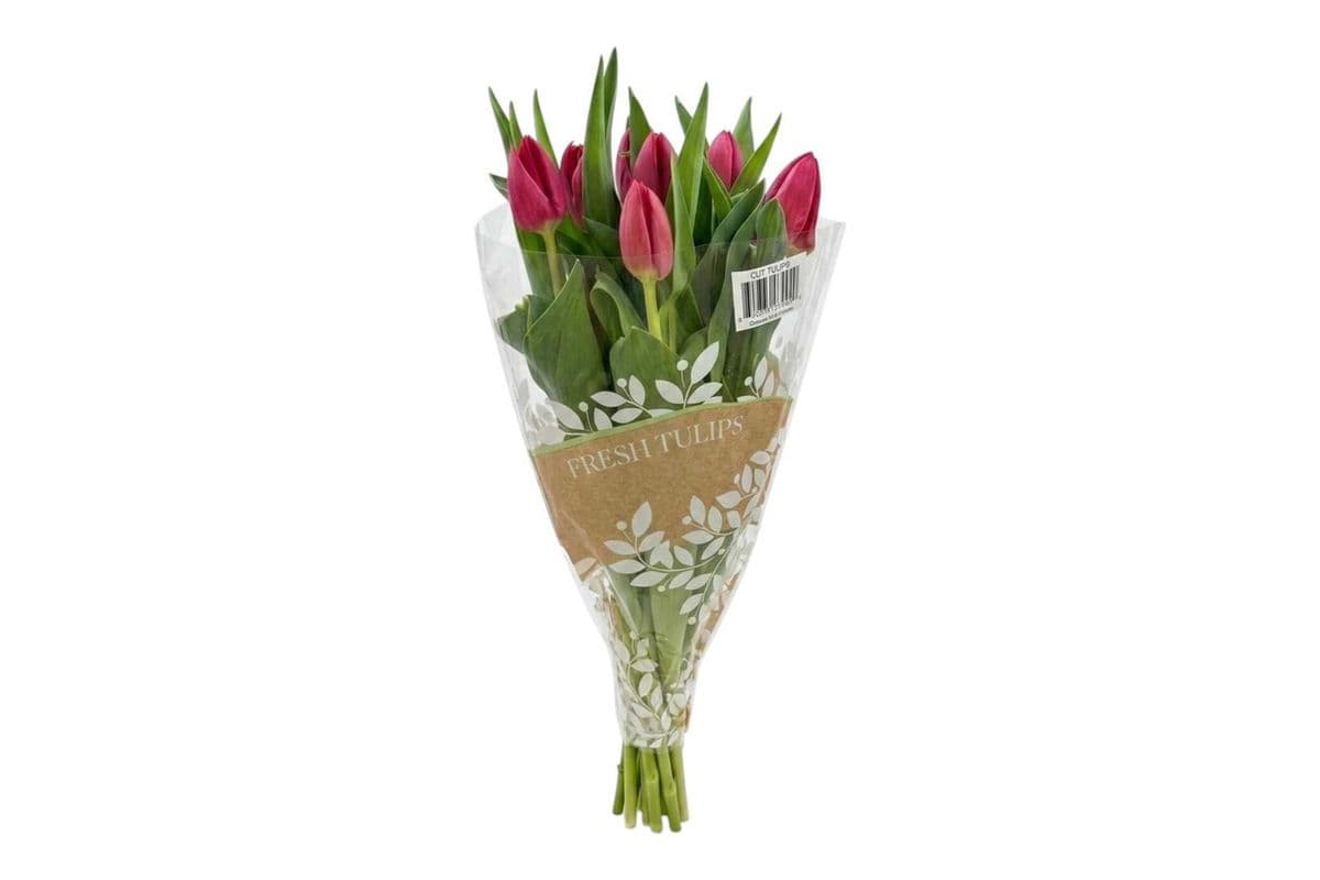 Red Tulips - 10 Stems