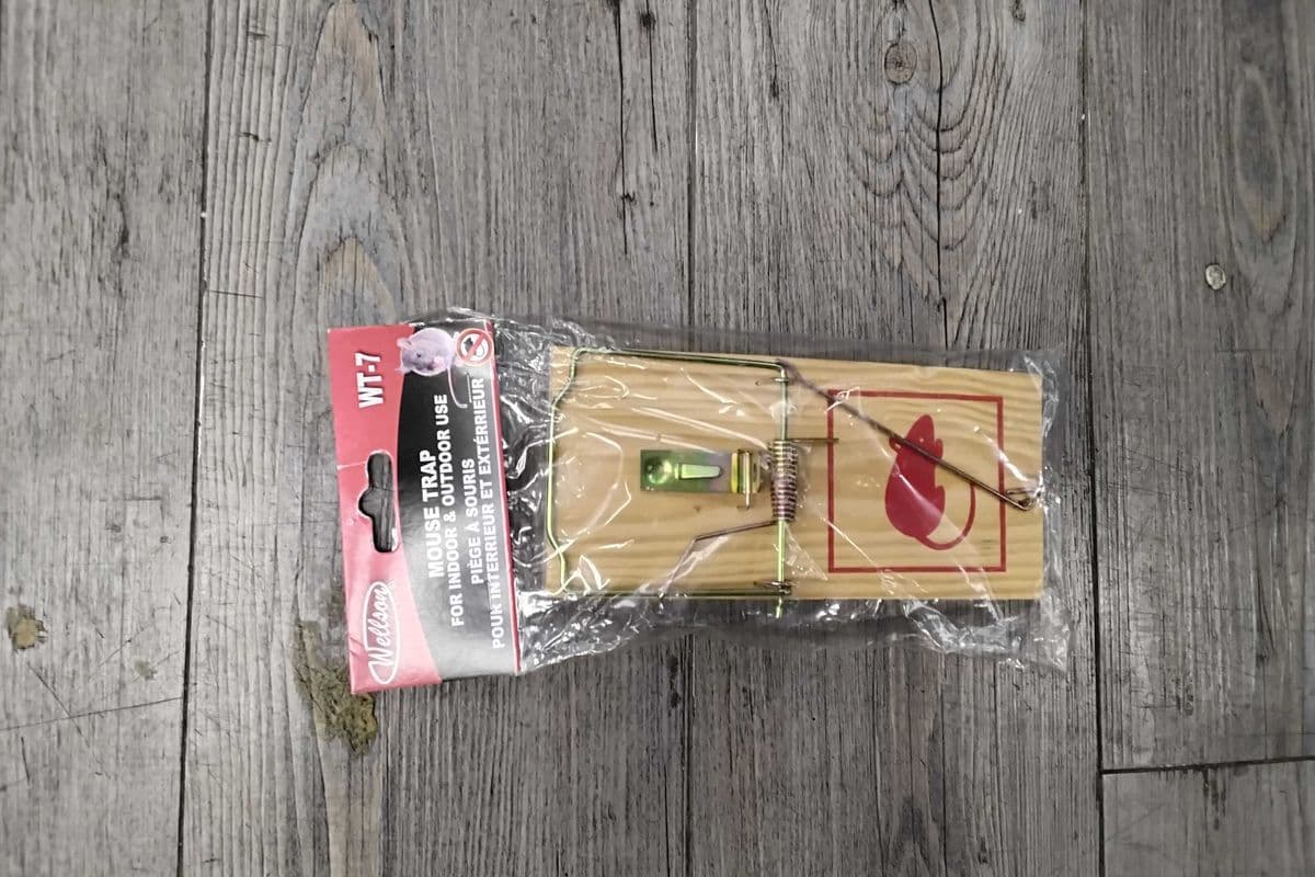 Mouse Trap.