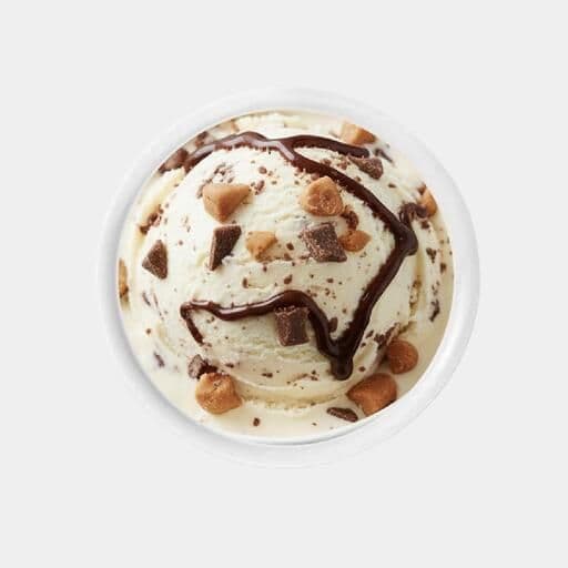 Moose Tracks Ice Cream