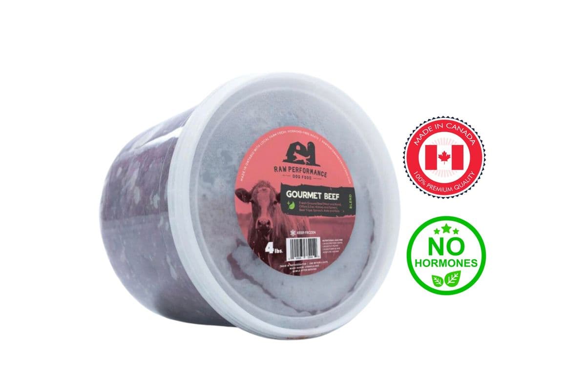 Raw Performance - Gourmet Beef Raw Dog Food (4 lb)