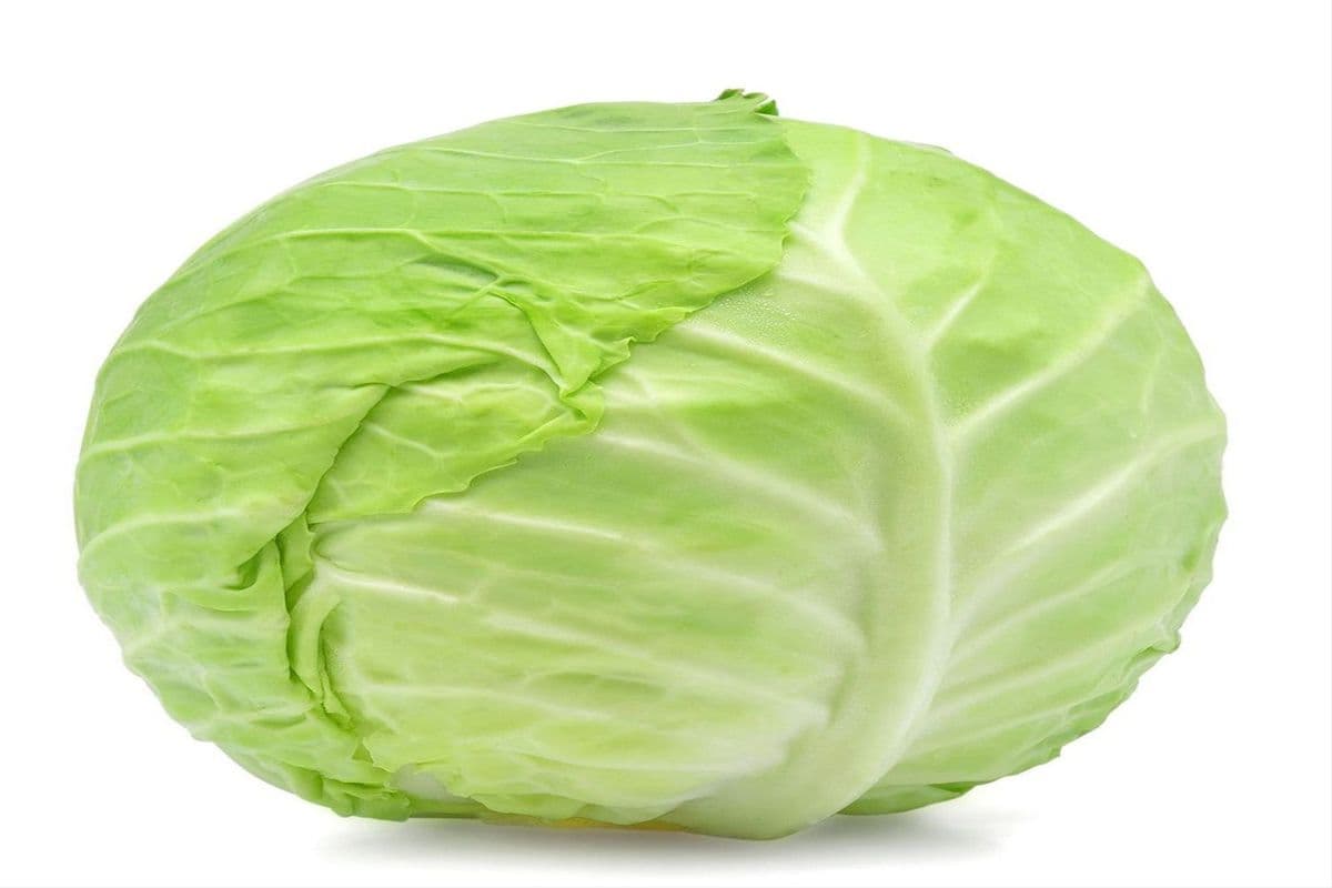 Cabbage Green (1 lb)