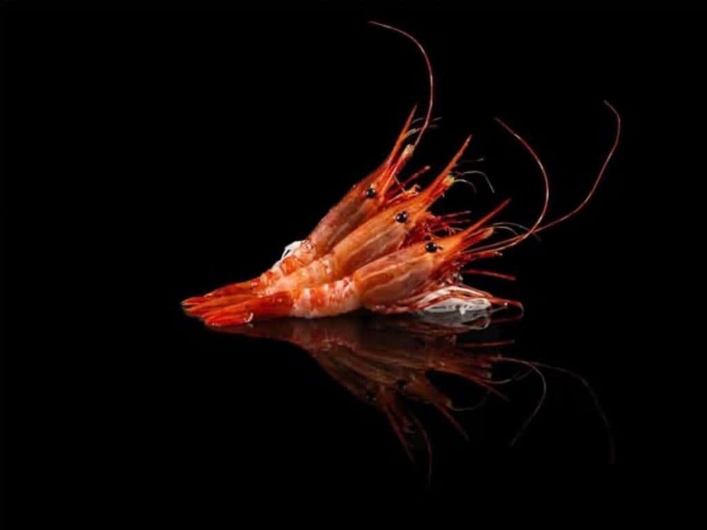 Botan Shrimp Sashimi (3pcs)