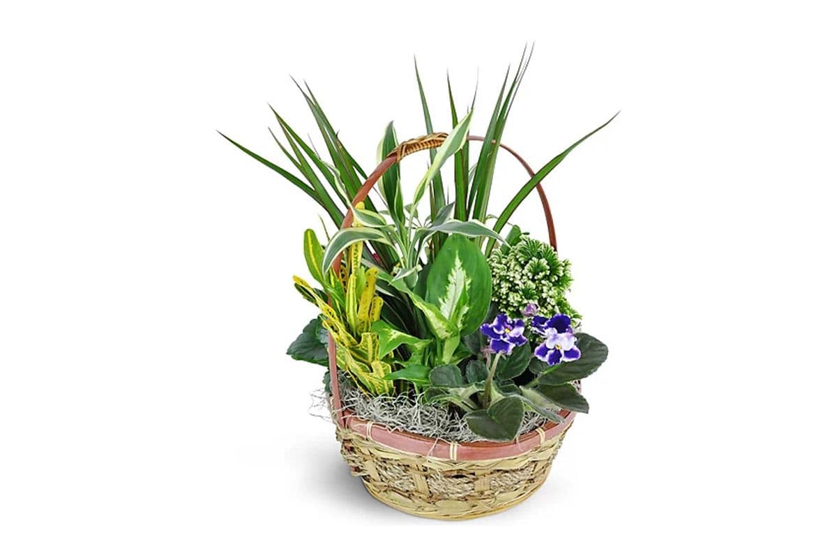 Basket of Love