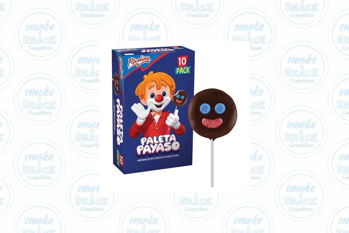 Paleta Payaso Marshmallow with Chocolate 45g