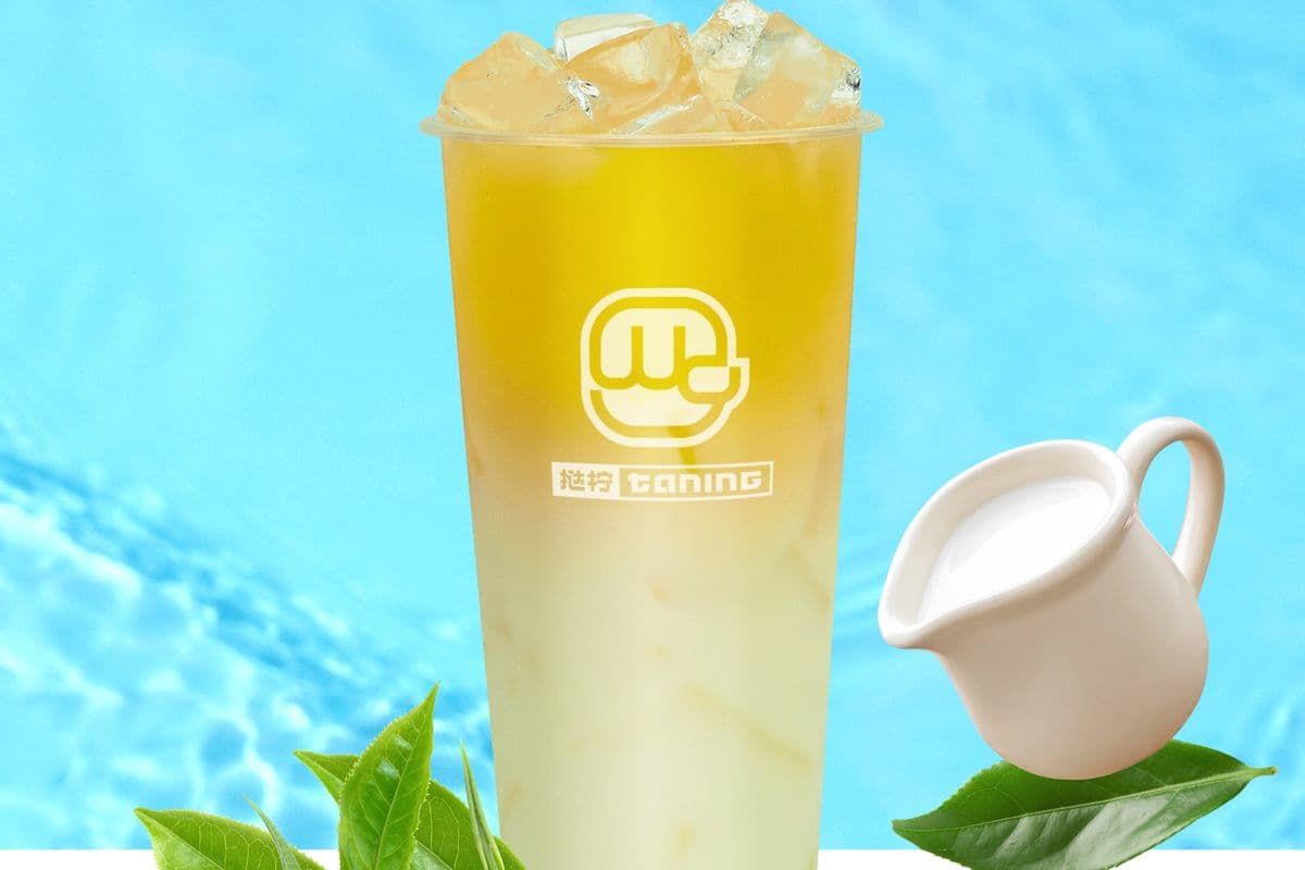 Jade Longjing Milk Tea 玉露龙井奶白
