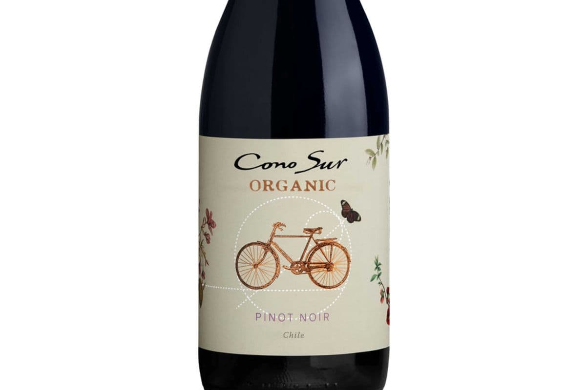 Cono Sur Organic Pinot Noir (1 x 750ml)