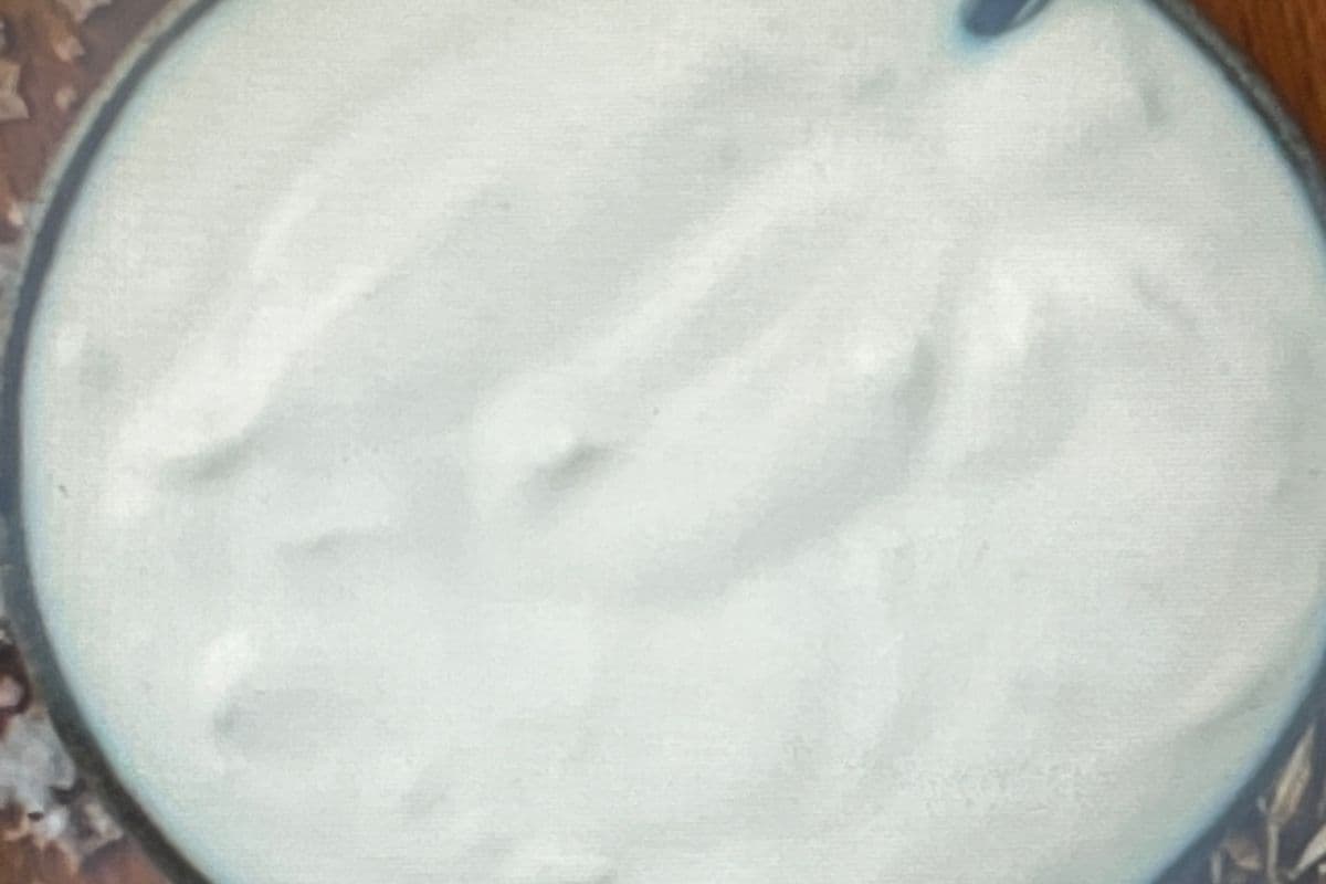 Plain Yogurt