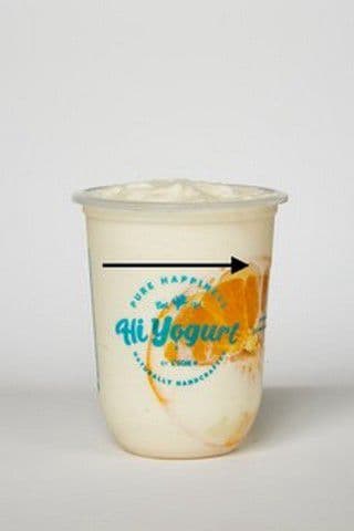 Orange Yogurt Shake