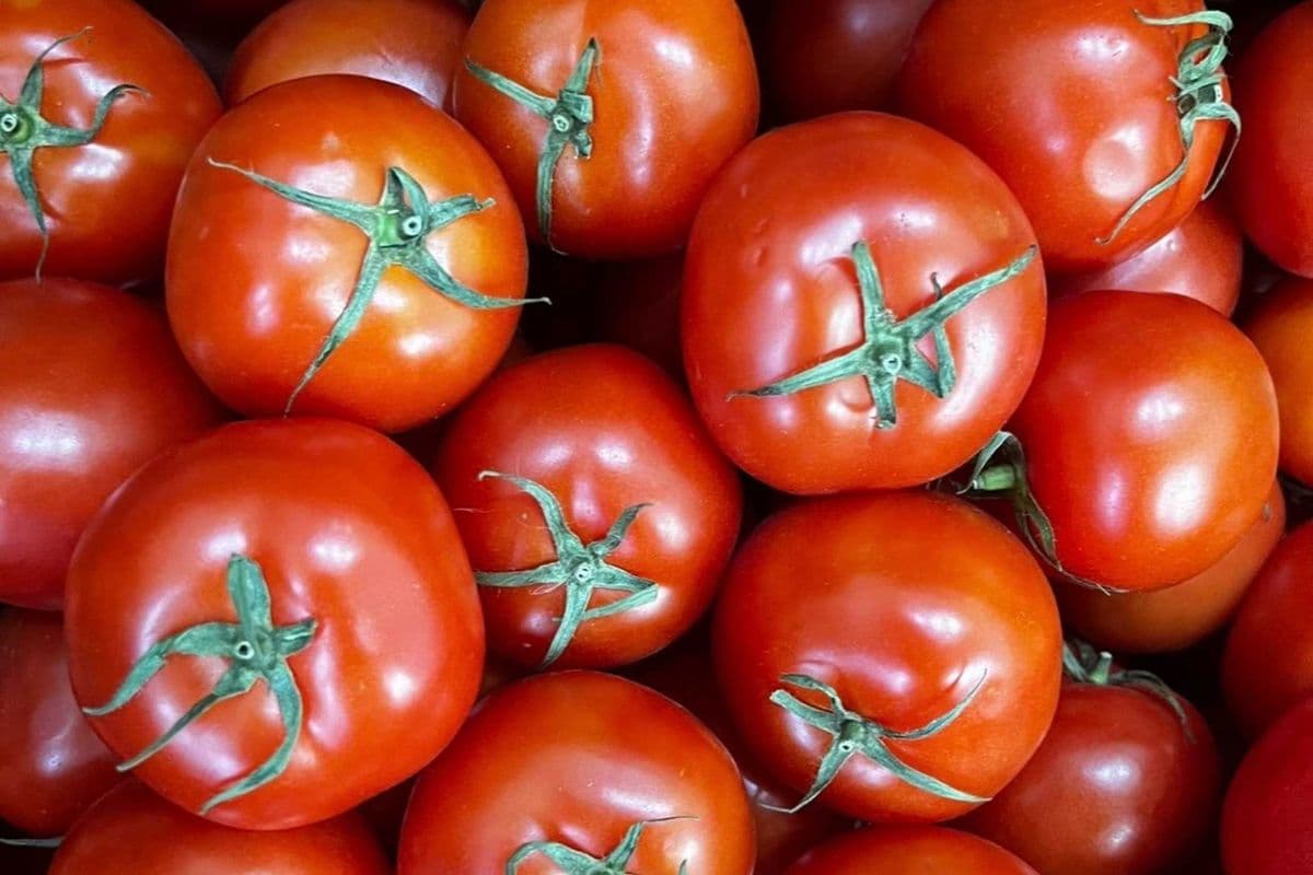 Stew Vine Tomatoes – Full Box (20 lb)