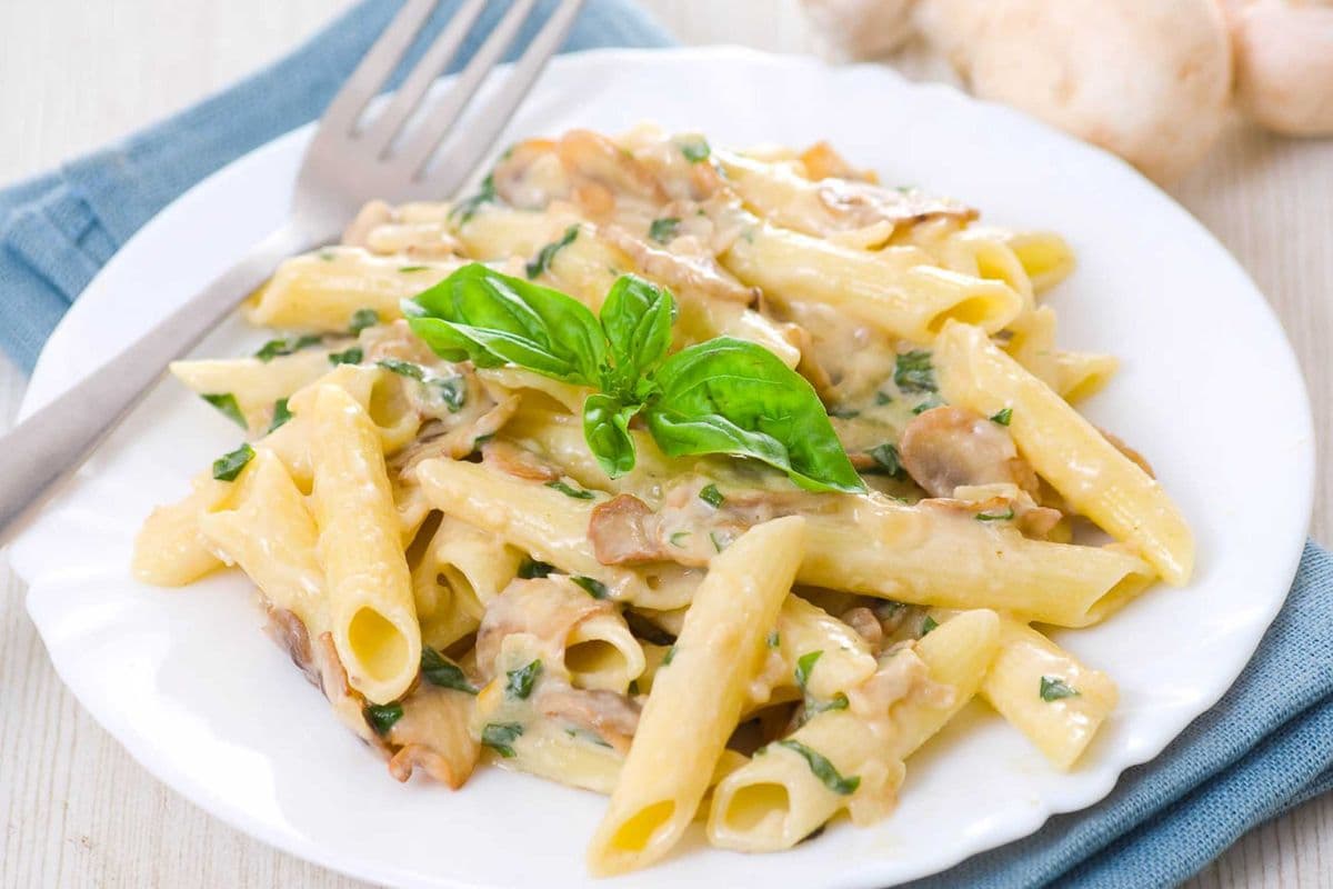 Alfredo with Pasta