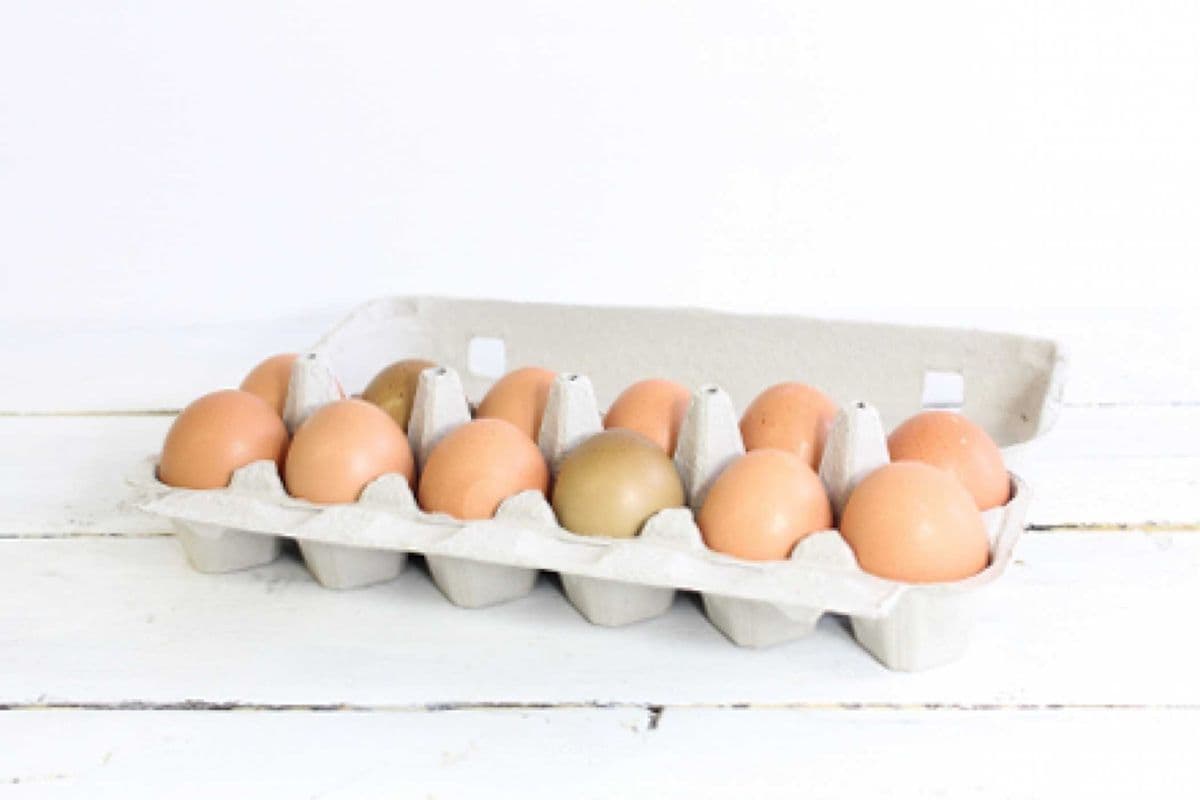 Heritage Large Eggs - the Packing House (1 dozen)