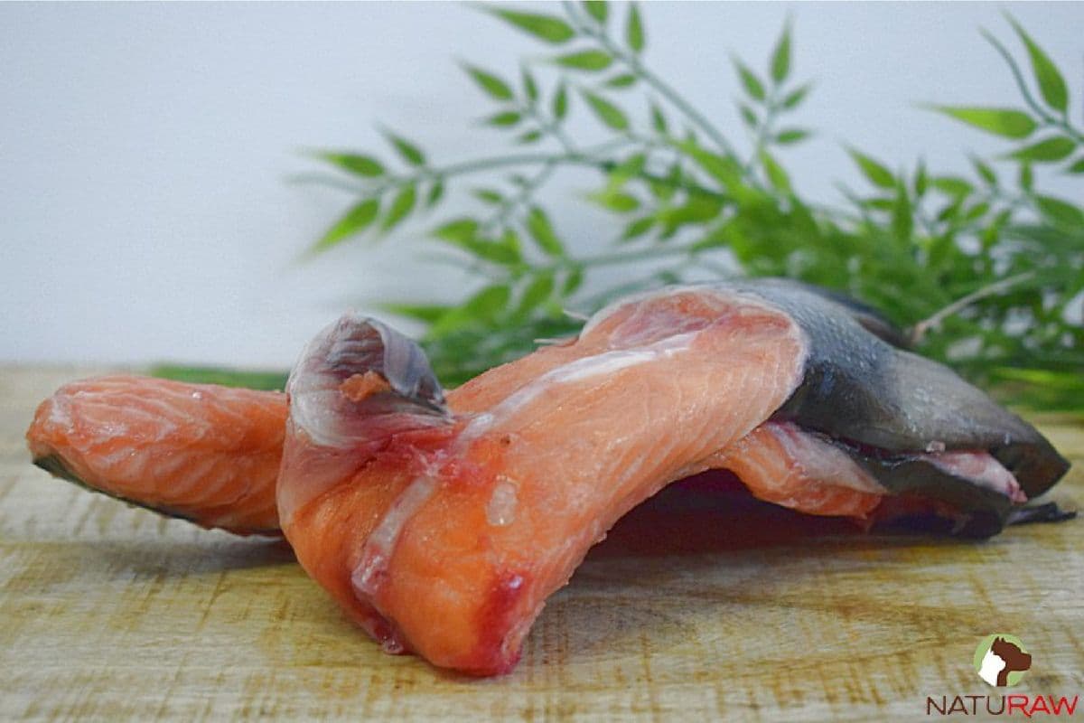 Salmon Fillet (1 piece)