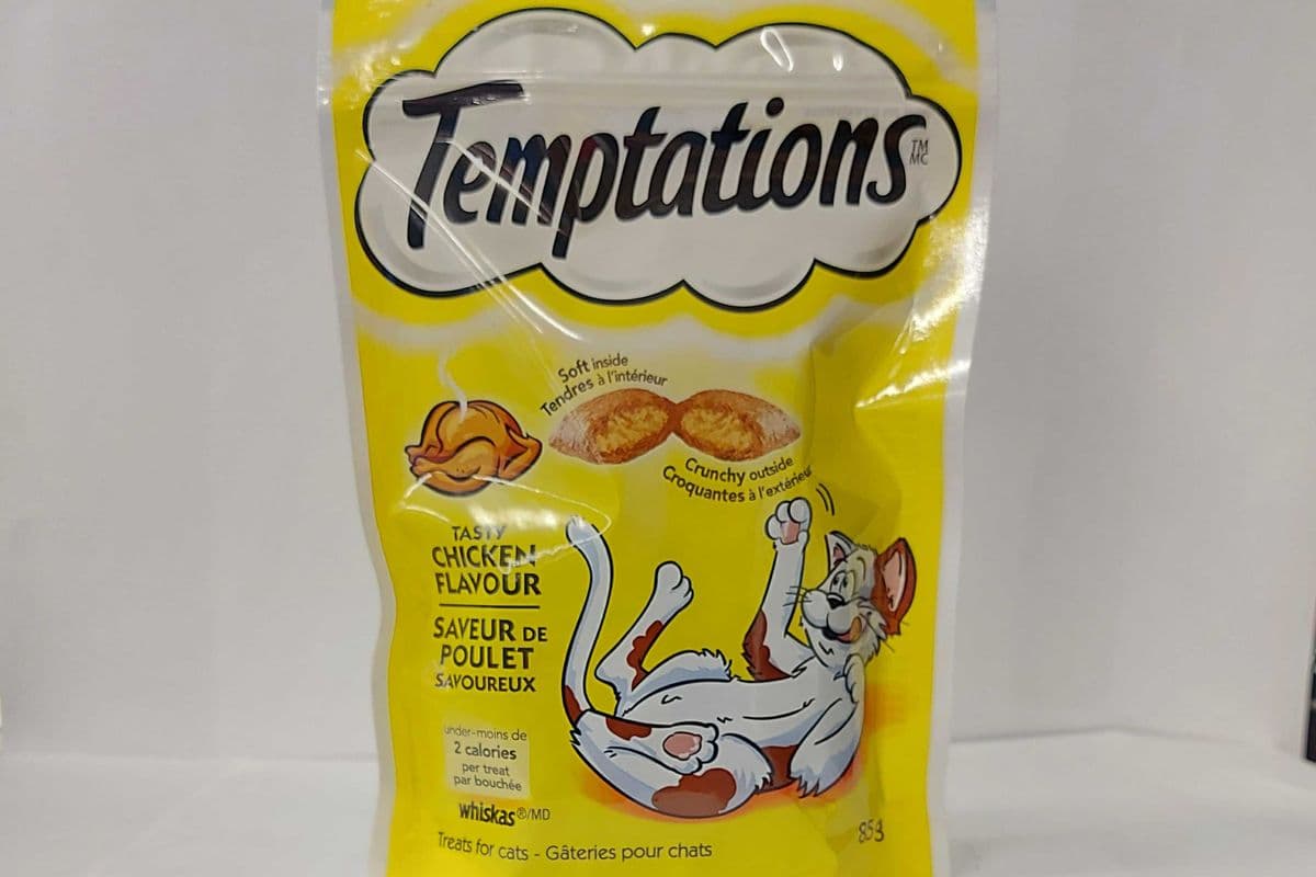 Temptation - Tasty Chicken Flavour (85g)